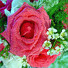 Brides Maid Bouquet Brides Maid Bouquet
